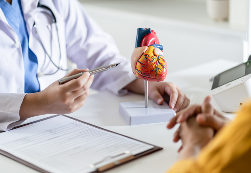 Imagem de um médico explicando para um paciente sobre o coração humano com modelo anatômico em uma consulta médica, representando o colesterol sem sintomas.